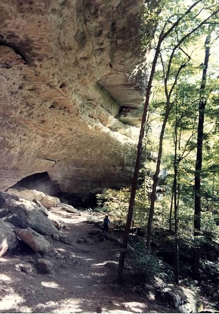 Camper-submitted photo at Backpack Campground — Ferne Clyffe State Park near Herod, IL