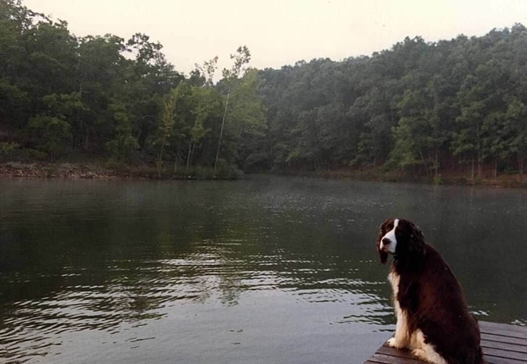 Camper submitted image from Randolph County State Recreation Area - 4