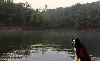 Joel R.'s photo of camping with pets at Randolph County State Recreation Area near Perryville, MO