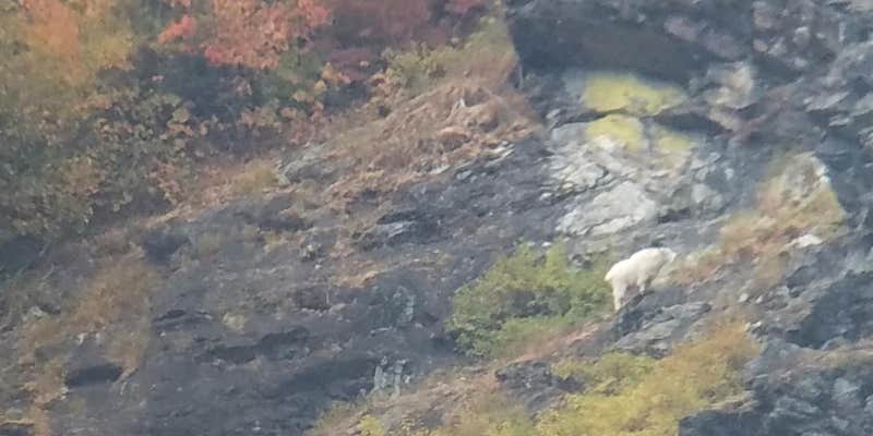 Camper submitted image from North Fork of the Clearwater Corridor