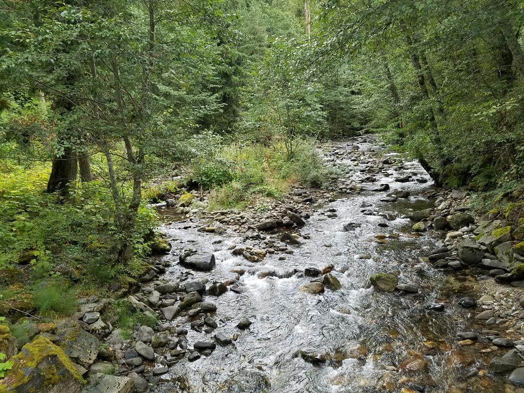 Camper-submitted photo at Isabella Landing Camp near Elk River, ID