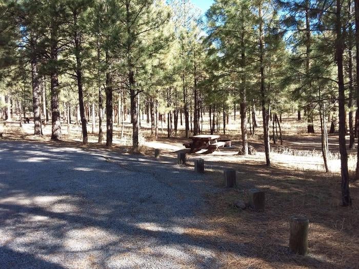 Camper submitted image from Jemez Falls Campground - 2