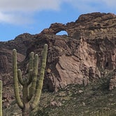 Review photo of Twin Peaks Campground - Organ Pipe Cactus Nat Monument by Karen M., April 11, 2019