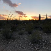 Review photo of Twin Peaks Campground - Organ Pipe Cactus Nat Monument by Karen M., April 11, 2019