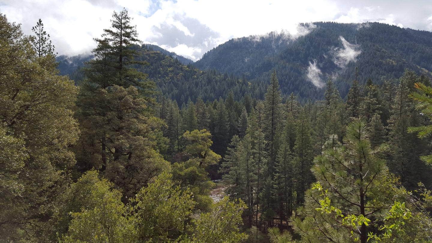Camper submitted image from Union Flat - 2