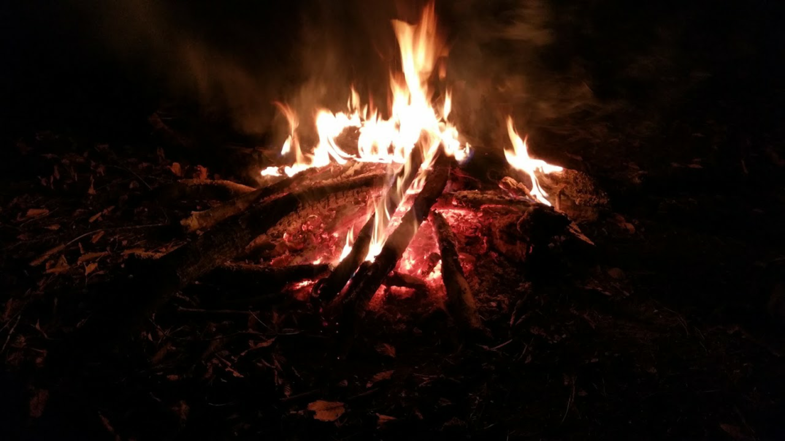 Camper submitted image from Little Black Creek Campground - 2