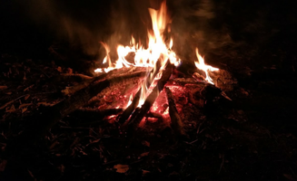 Chris M.'s photo at Little Black Creek Campground near Purvis, MS