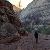 Review photo of Capitol Reef National Park Dispersed Camping by Shay F., April 12, 2019