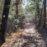 Review photo of Little Black Creek Campground by Chris M., August 26, 2016