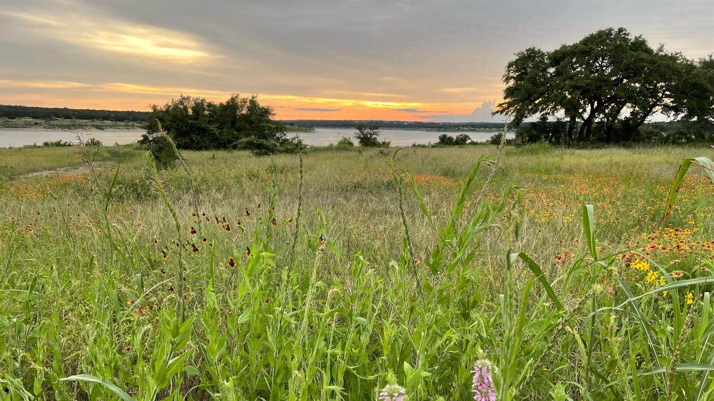 Camper submitted image from Jim Hogg - Lake Georgetown - 1