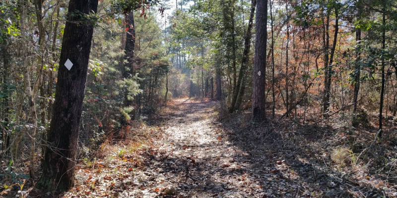 Camper submitted image from Little Black Creek Campground