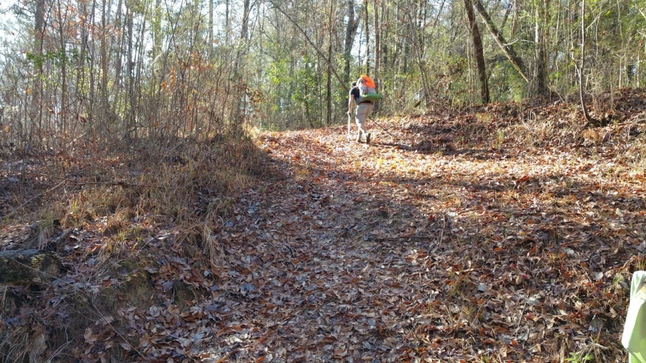 Camper-submitted photo at Little Black Creek Campground near Hattiesburg, MS