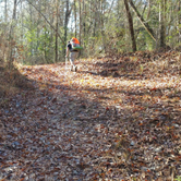 Review photo of Little Black Creek Campground by Chris M., August 26, 2016