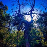 Review photo of Abilene State Park Campground by Tommy M., April 11, 2019