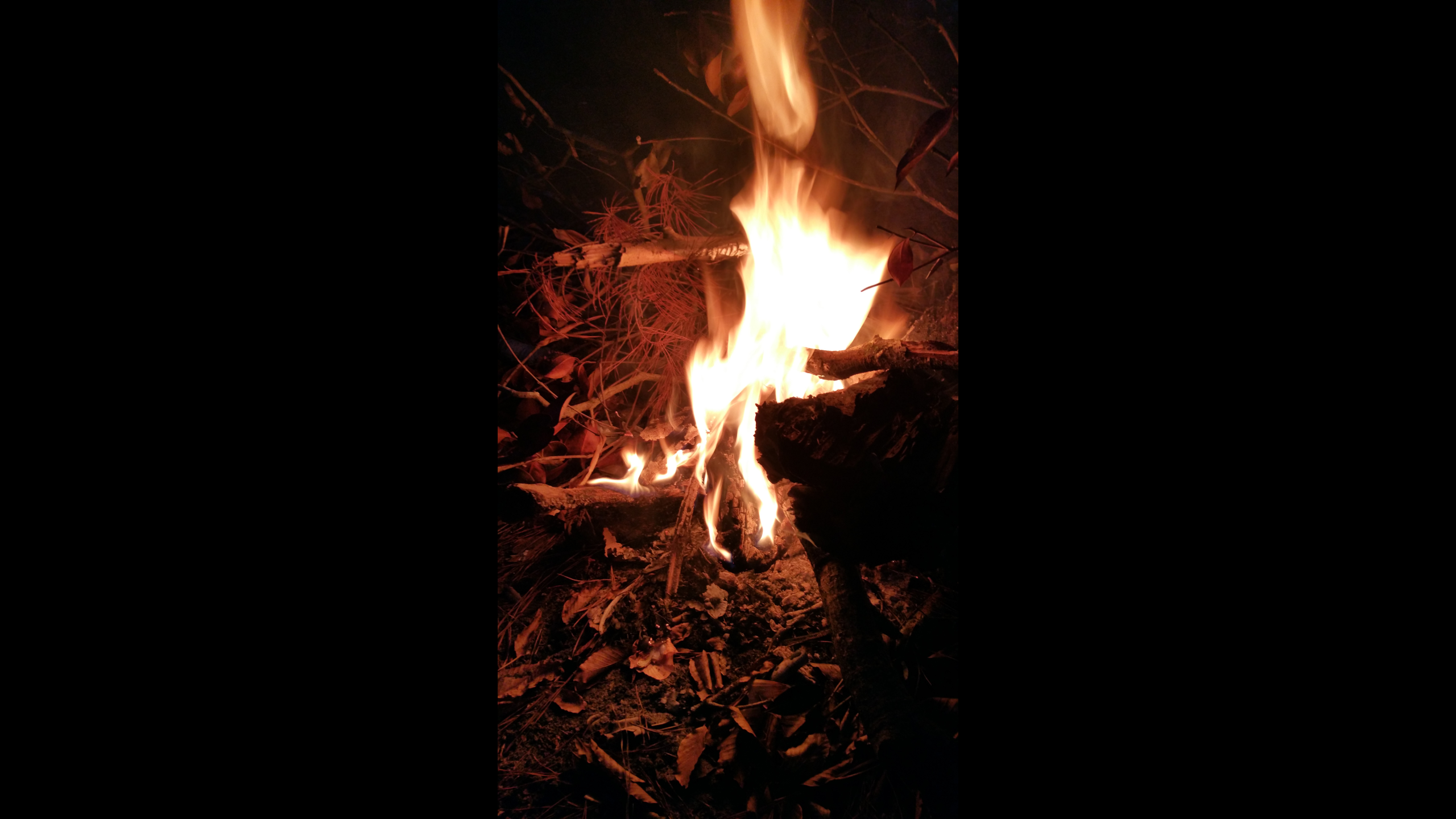 Camper submitted image from Little Black Creek Campground - 4