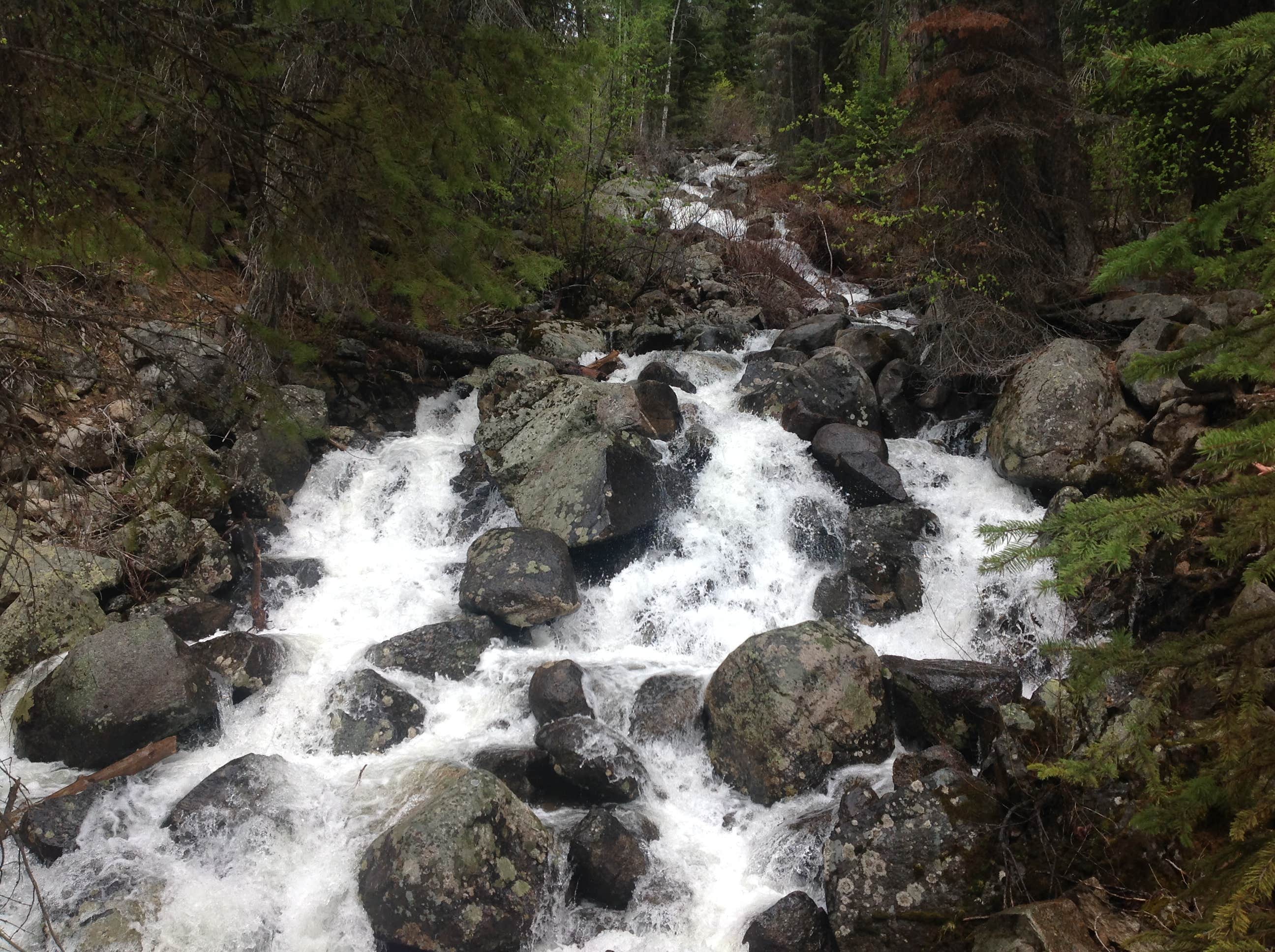 Camper submitted image from Upper Payette Lake Campground - 5