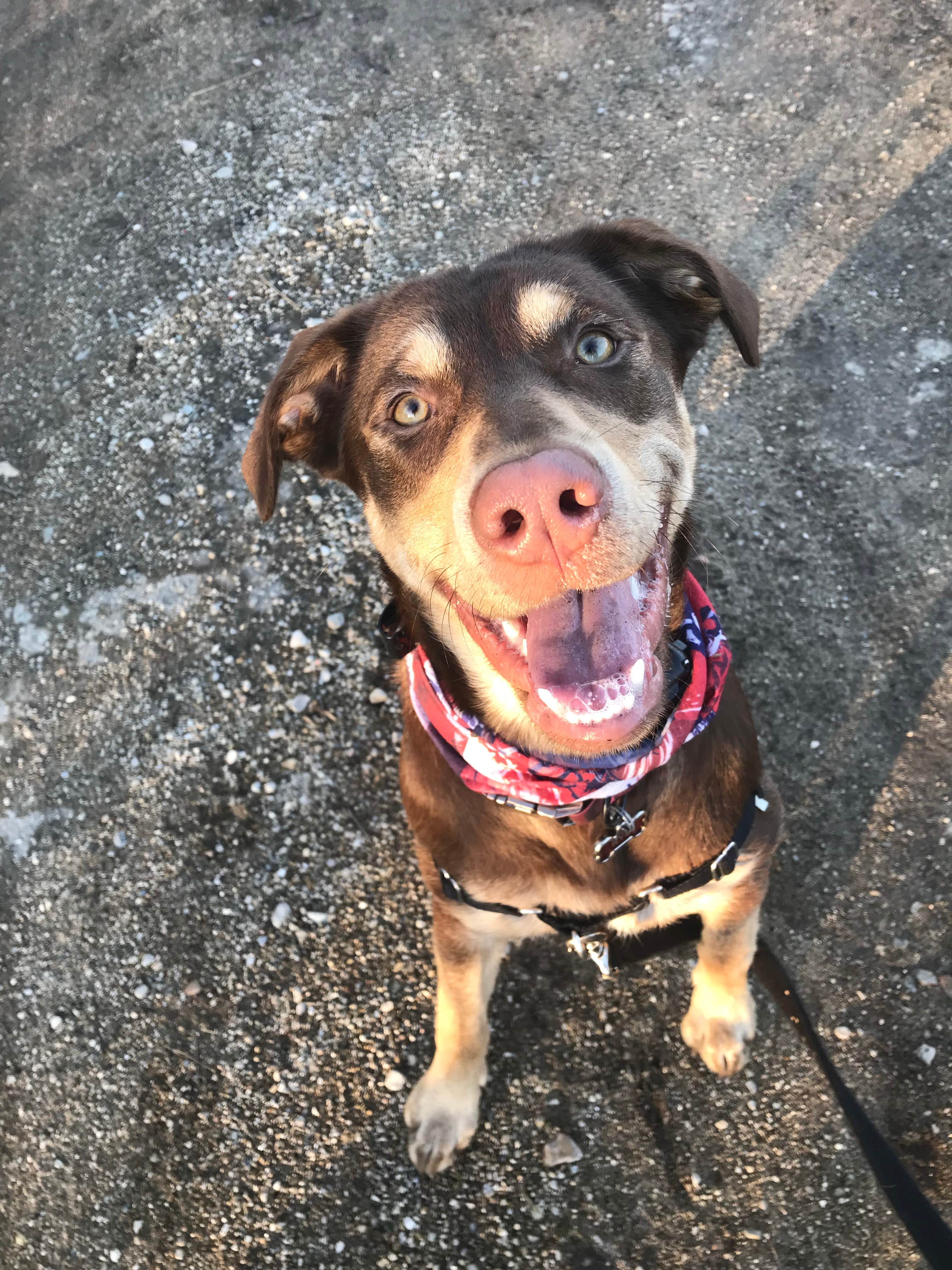 Camper-submitted photo at Fort Custer Recreation Area near Charlotte, MI