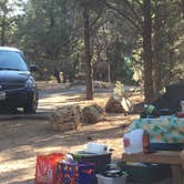 Review photo of Mather Campground — Grand Canyon National Park by Jennifer O., April 12, 2019