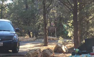 Jennifer O.'s photo at Mather Campground — Grand Canyon National Park near Grand Canyon, AZ