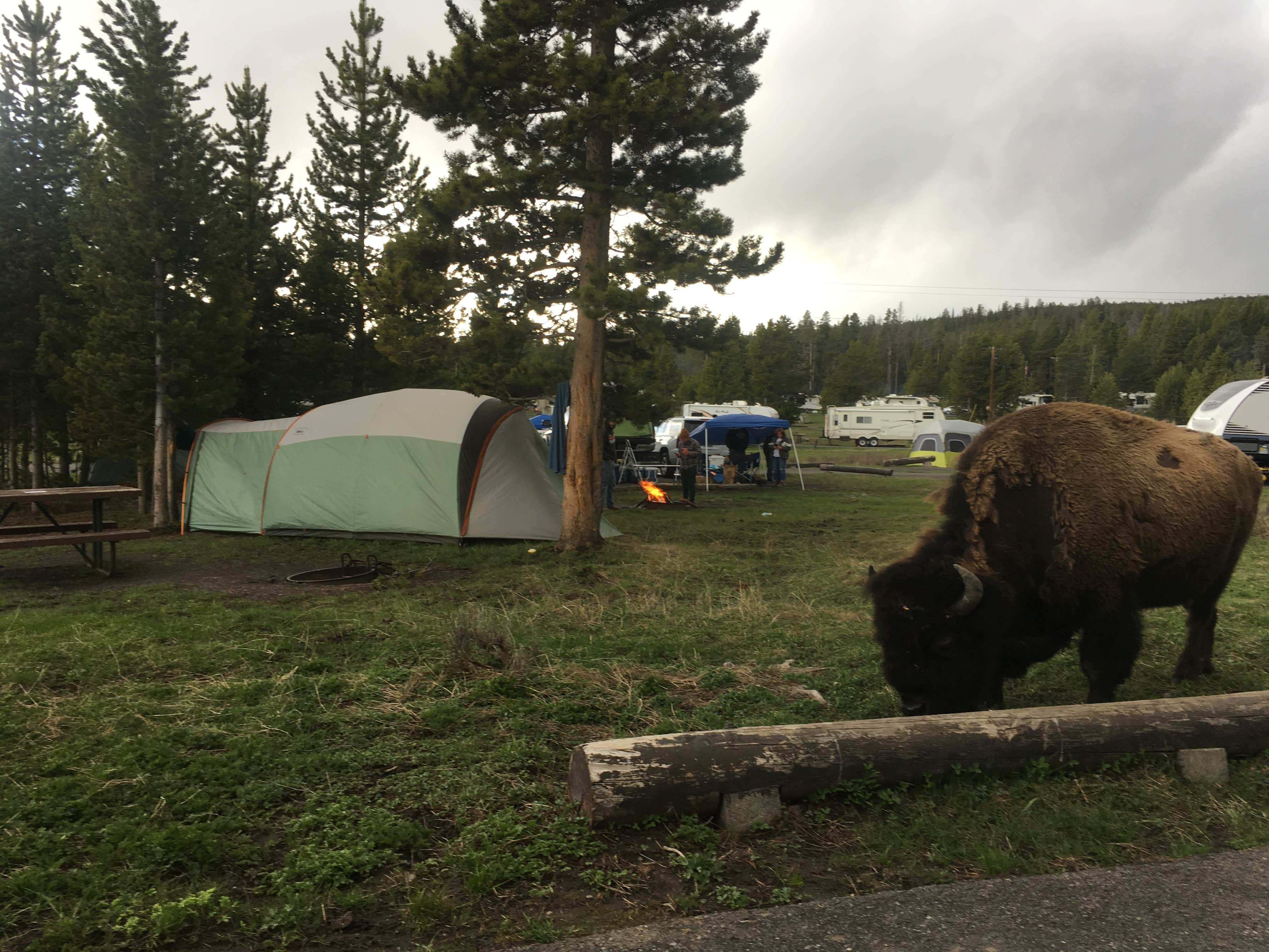 Jennifer O.'s photo of tent camping at Colter Bay Tent Village at Colter Bay Village — Grand Teton National Park in Wyoming