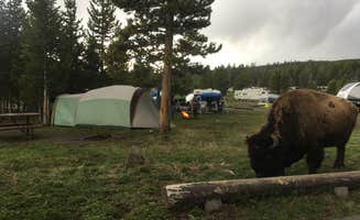 Jennifer O.'s photo of tent camping at Colter Bay Tent Village at Colter Bay Village — Grand Teton National Park near John D. Rockefeller Jr. Memorial Parkway