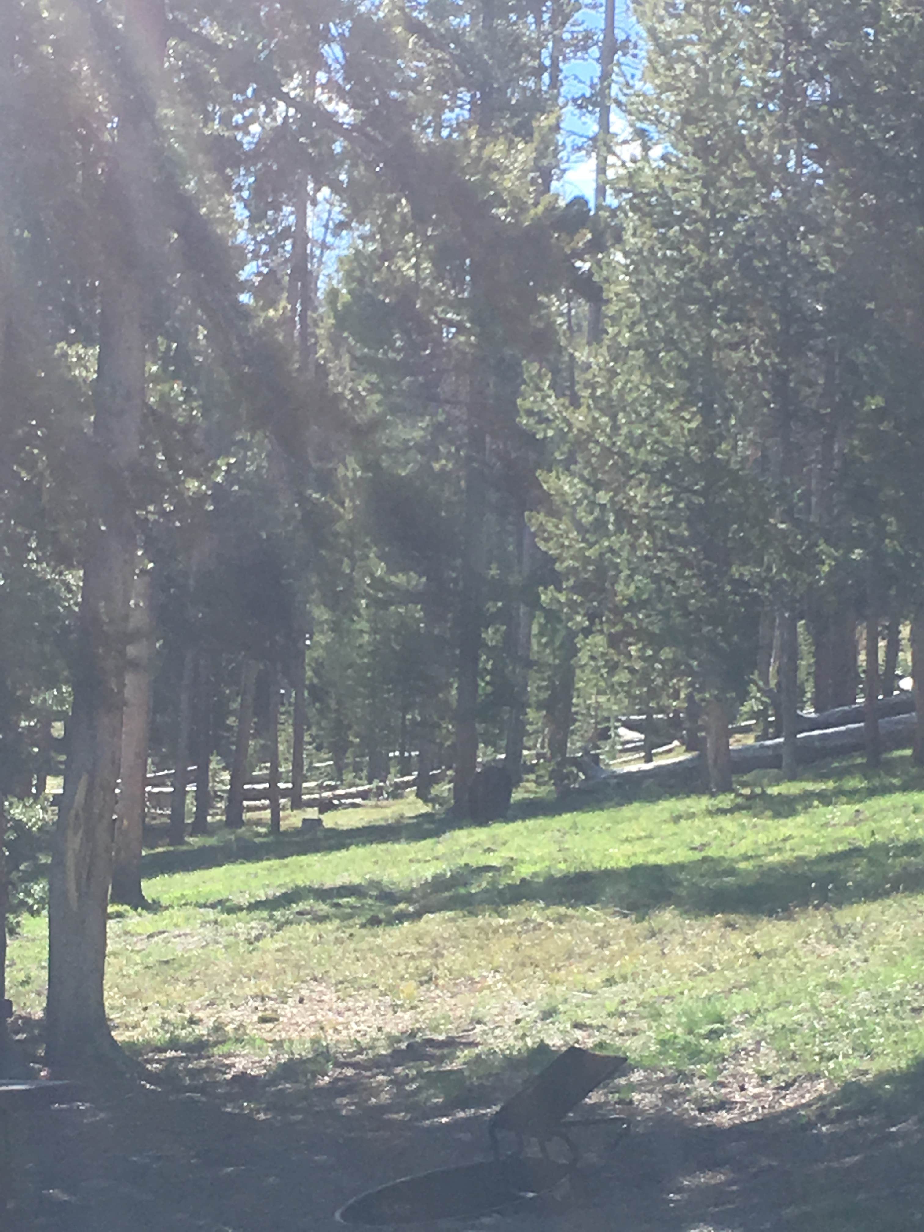 Colter Bay Village (Cabins and Tent Cabins) | The Dyrt