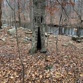 Review photo of Cloudland Canyon State Park Campground by DeWayne H., April 12, 2019