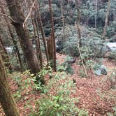 Review photo of Panther Creek Recreation Area Camping by DeWayne H., April 12, 2019