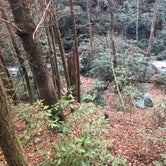 Review photo of Panther Creek Recreation Area Camping by DeWayne H., April 12, 2019
