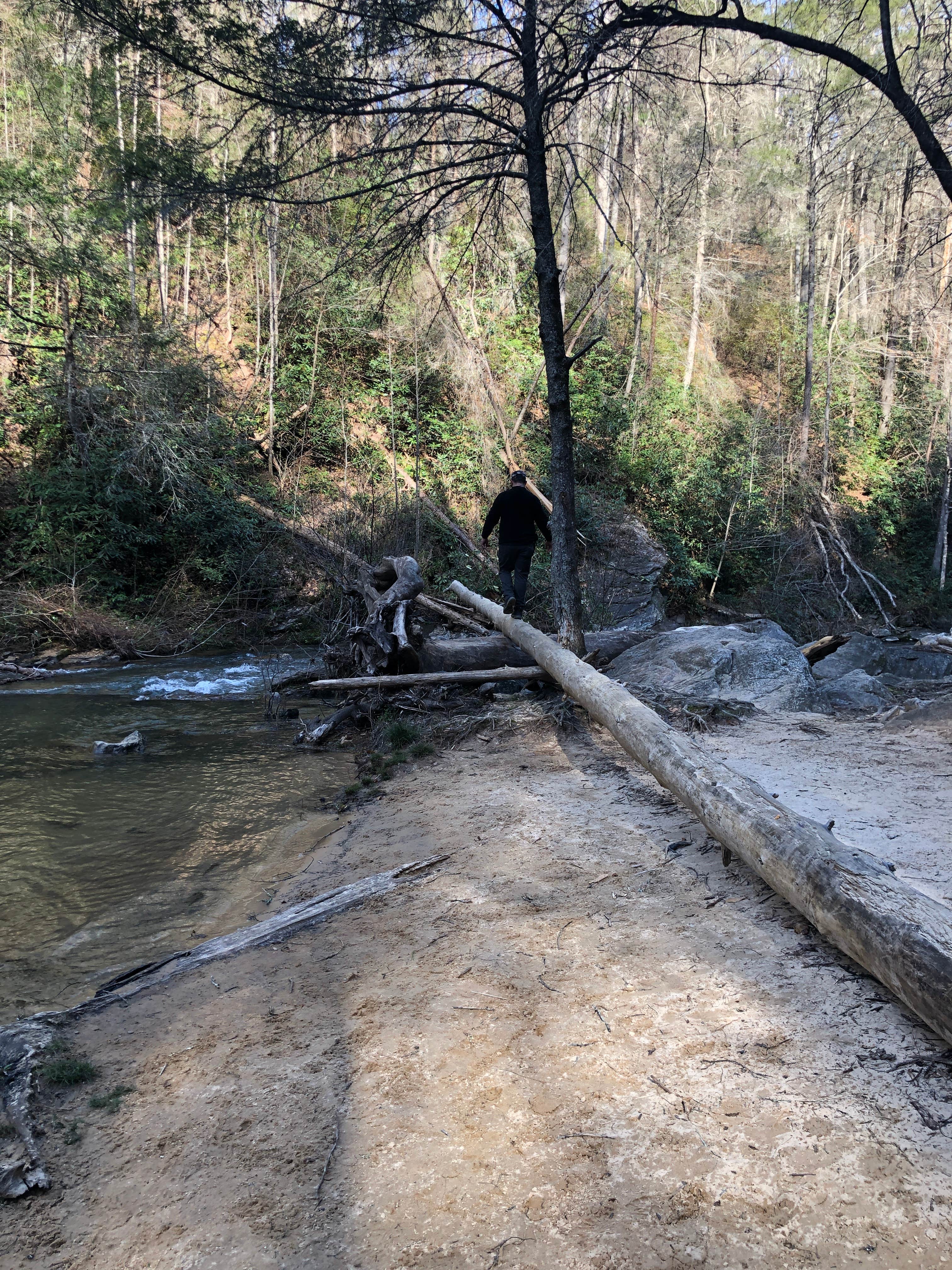 Panther creek falls on sale campground