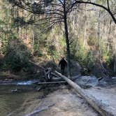 Review photo of Panther Creek Recreation Area Camping by DeWayne H., April 12, 2019