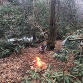 Review photo of Panther Creek Recreation Area Camping by DeWayne H., April 12, 2019