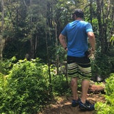 Review photo of El Yunque National Forest Camp Sites by DeWayne H., April 12, 2019