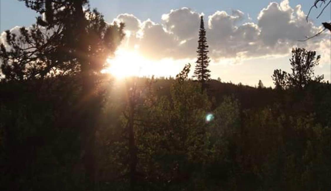 Camper-submitted photo at Laramie River Road Dispersed near Medicine Bow-Routt National Forests and Thunder Basin National Grassland