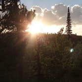 Review photo of Laramie River Road Dispersed by Darla R., April 12, 2019