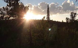 Darla R.'s photo of a dispersed camping area at Laramie River Road Dispersed near Jelm, WY