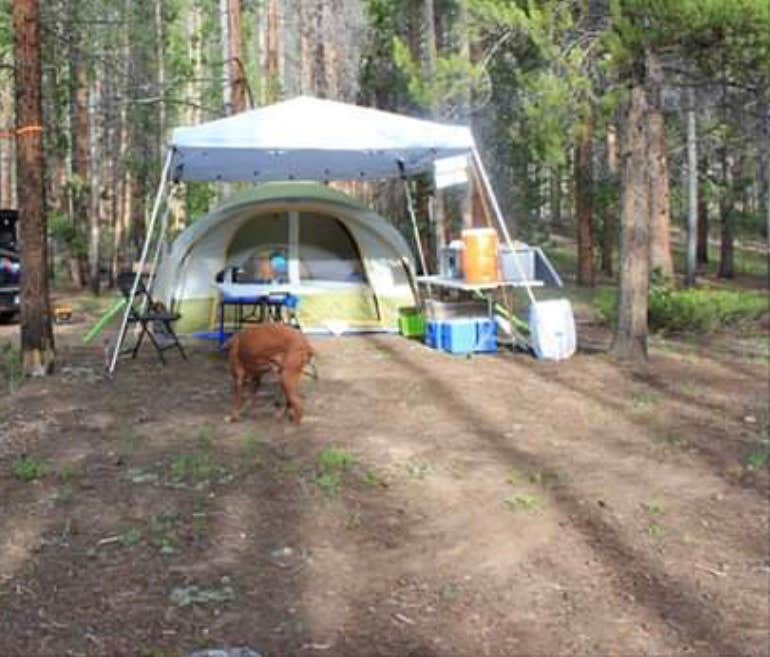 Darla R.'s photo at Laramie River Road Dispersed near Cowdrey, CO