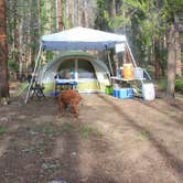 Review photo of Laramie River Road Dispersed by Darla R., April 12, 2019