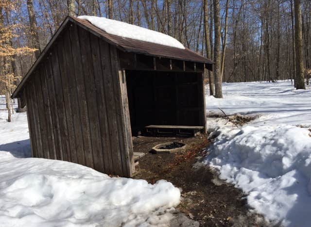 Camper submitted image from Deer Park Lake Backcountry Campsite — Itasca State Park - 2