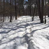 Review photo of Deer Park Lake Backcountry Campsite — Itasca State Park by Janet R., April 12, 2019