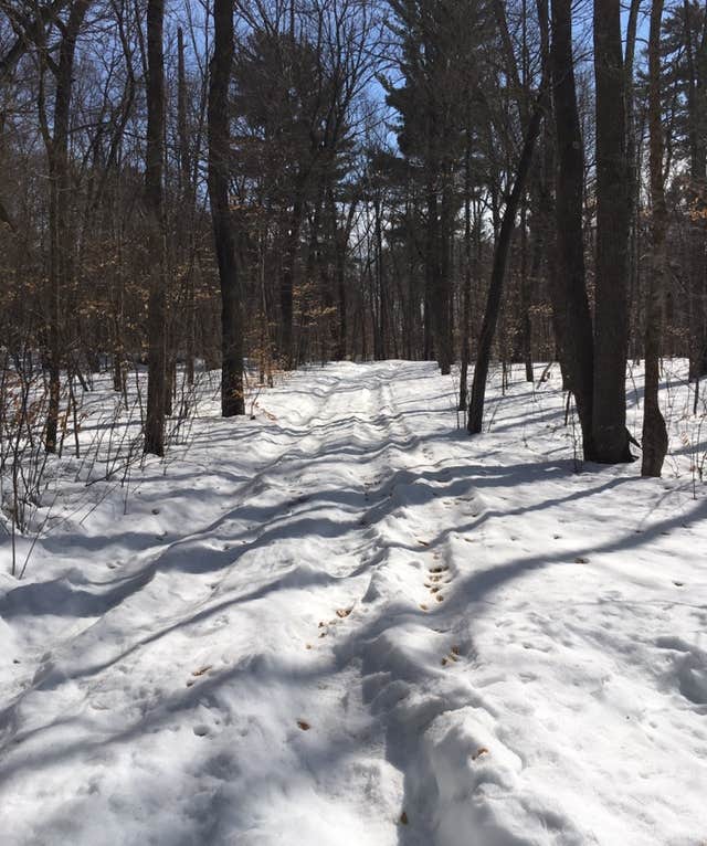 Camper submitted image from Deer Park Lake Backcountry Campsite — Itasca State Park - 2