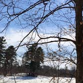 Review photo of Deer Park Lake Backcountry Campsite — Itasca State Park by Janet R., April 12, 2019