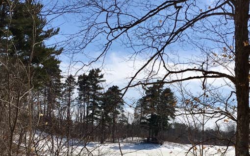 Camper submitted image from Deer Park Lake Backcountry Campsite — Itasca State Park - 4