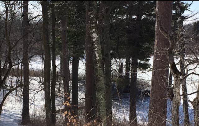 Camper submitted image from Deer Park Lake Backcountry Campsite — Itasca State Park - 5