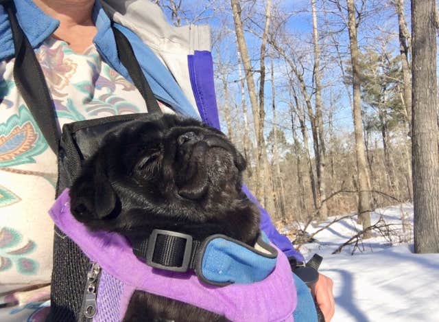 Camper-submitted photo at Deer Park Lake Backcountry Campsite — Itasca State Park near Midway, MN