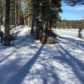Review photo of Deer Park Lake Backcountry Campsite — Itasca State Park by Janet R., April 12, 2019