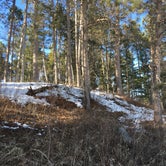 Review photo of Deer Park Lake Backcountry Campsite — Itasca State Park by Janet R., April 12, 2019