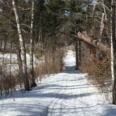 Review photo of Deer Park Lake Backcountry Campsite — Itasca State Park by Janet R., April 12, 2019