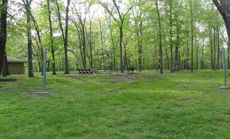 Camping near Dam West Area (day-Use): Shagbark Group Area, Sesser, Illinois