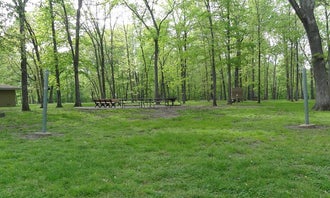 Camping near Spillway Group Area: Shagbark Group Area, Sesser, Illinois